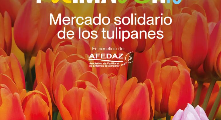 MERCADO TULIPANES
